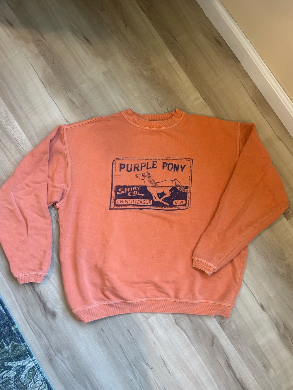 🌟 Vintage 🌟 Purple Pony Crewneck - good condition - size S